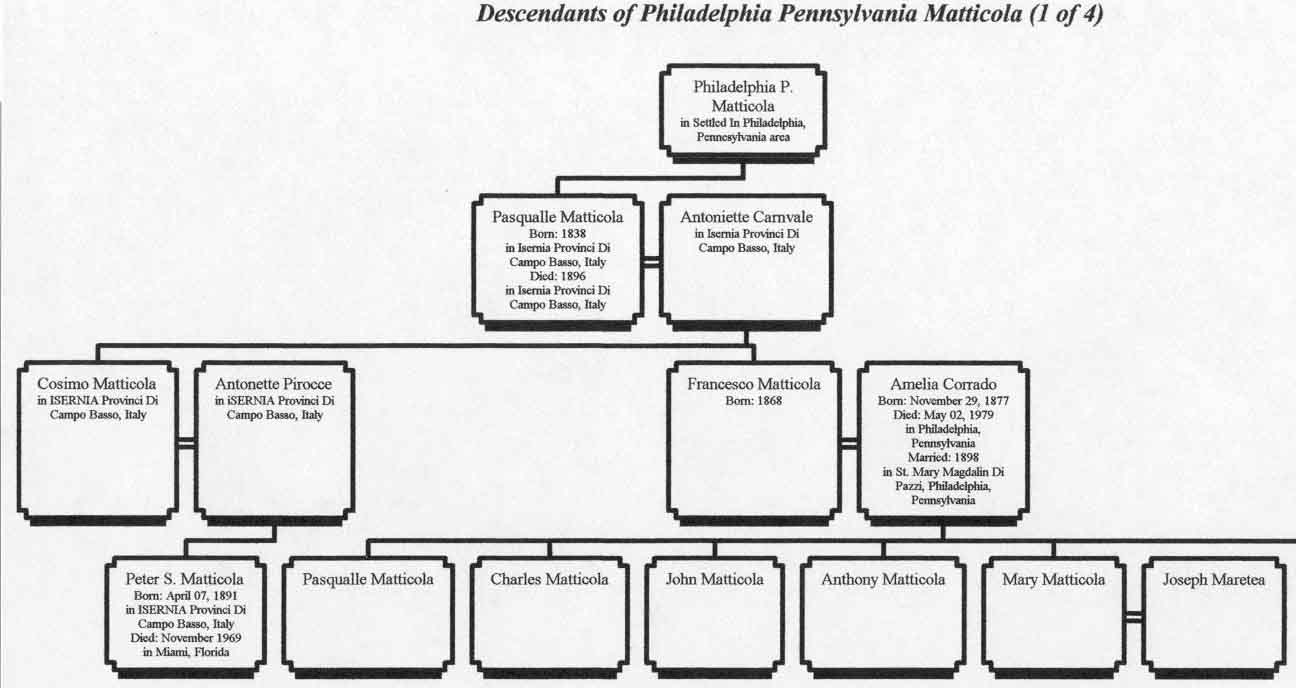 pa1.jpg (58249 bytes)